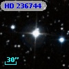 HD 236744