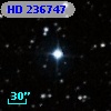 HD 236747