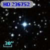 HD 236752