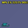 BPS CS 22175-0013