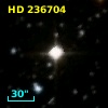 HD 236704