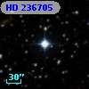 HD 236705