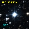 HD 236714