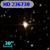HD 236730