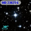 HD 236771