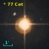 *  77 Cet