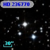 HD 236770