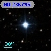 HD 236795
