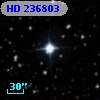 HD 236803