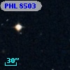 PHL  8503
