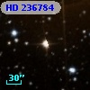 HD 236784