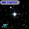 HD 236732