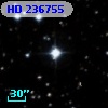 HD 236755