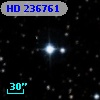 HD 236761