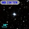 HD 236779