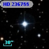 HD 236788