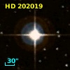 HD 202019