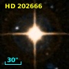 HD 202666