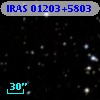IRAS 01203+5803