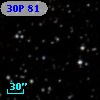 30P  81