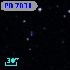 PB  7031