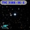 TYC 3166-16-1