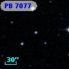 PB  7077