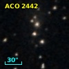 ACO  2442