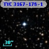 TYC 3167-178-1