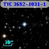 TYC 3682-1031-1