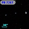 PB  7267