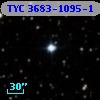TYC 3683-1095-1