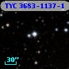 TYC 3683-1137-1