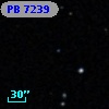 PB  7239