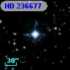 HD 236677