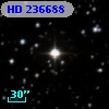 HD 236688