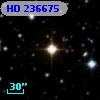 HD 236675