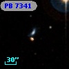 PB  7341