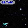 PB  7466