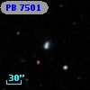 PB  7501