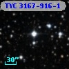 TYC 3167-916-1