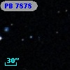 PB  7878