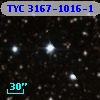 TYC 3167-1016-1