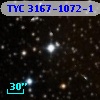 TYC 3167-1072-1