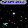 TYC 3677-664-1