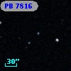 PB  7816