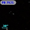 PB  7825