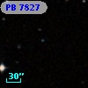 PB  7827