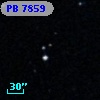 PB  7859