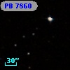 PB  7860